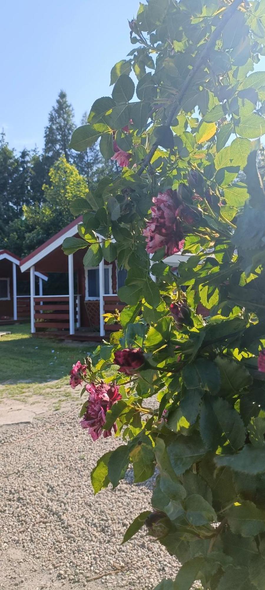 Vila Na Zaciszu Dziwnówek Exteriér fotografie